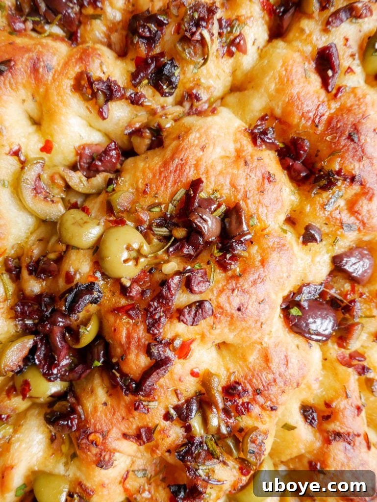 Perfectly golden Olive, Herb and Balsamic Focaccia, ready to be sliced