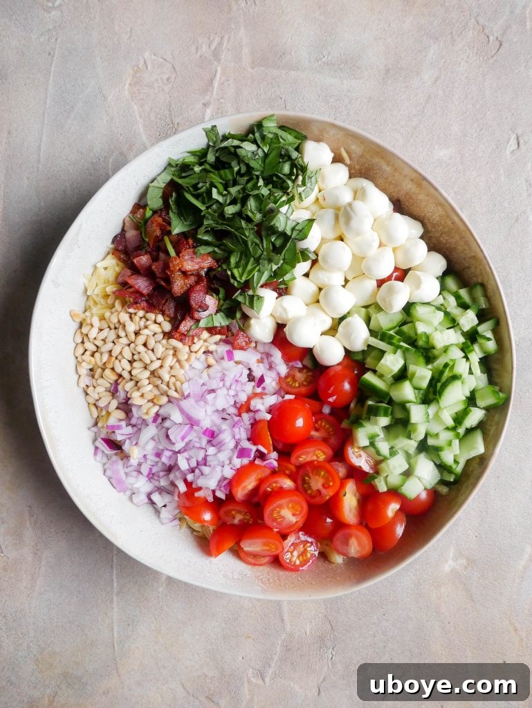 Close-up of Basil Garlic Pesto Summer Pasta Salad with fresh ingredients