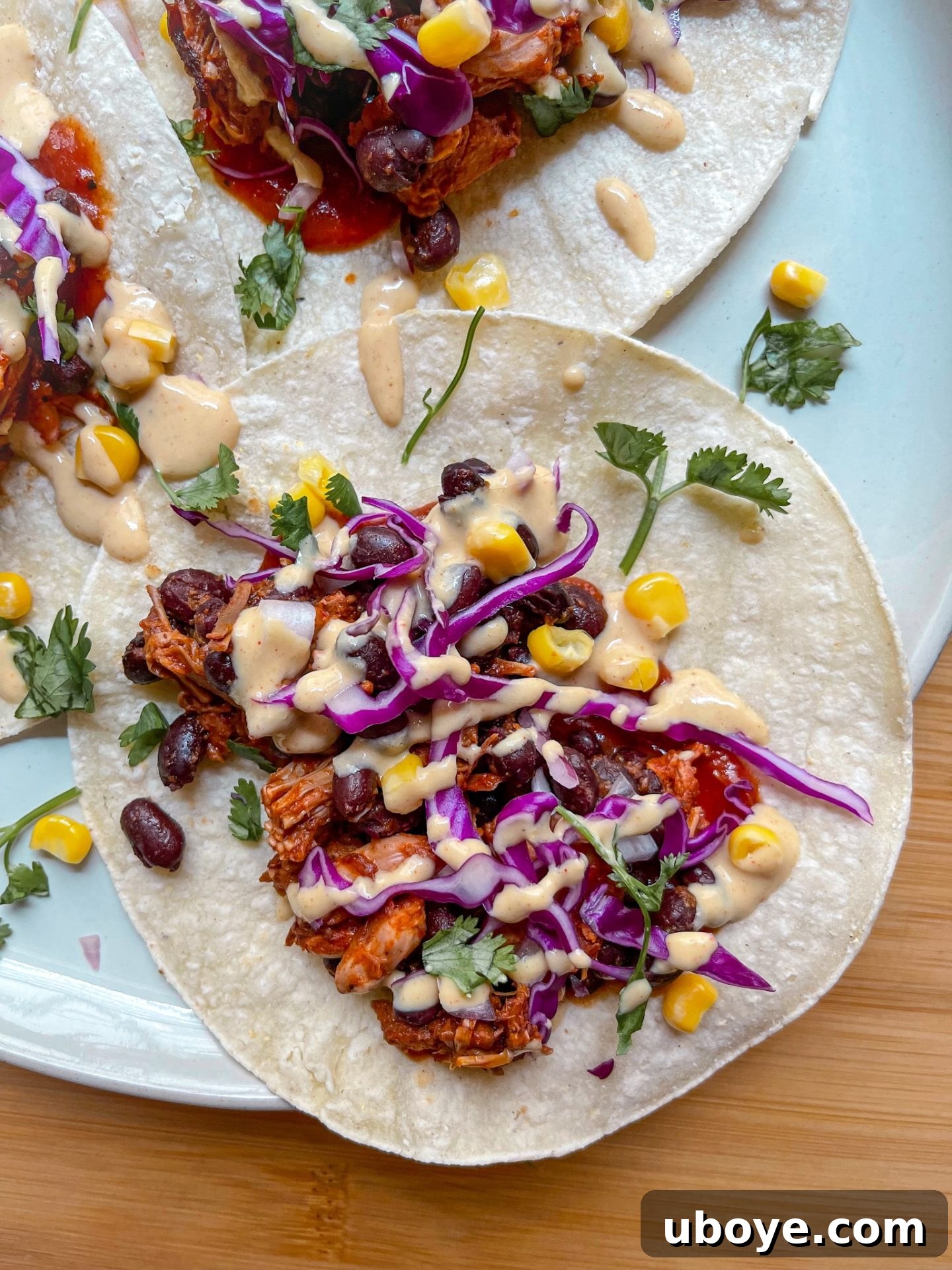 Plant-Powered BBQ Jackfruit Stacks 5 vegan jackfruit tacos