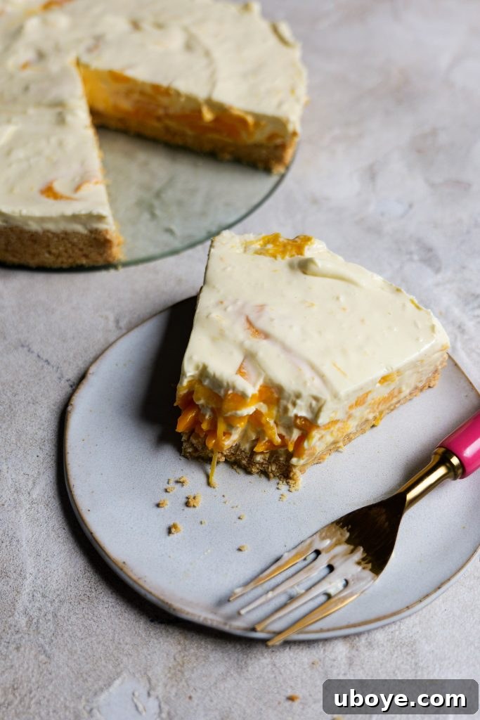 Chilled Tropical Mango Cheesecake 2 no bake mango cheesecake