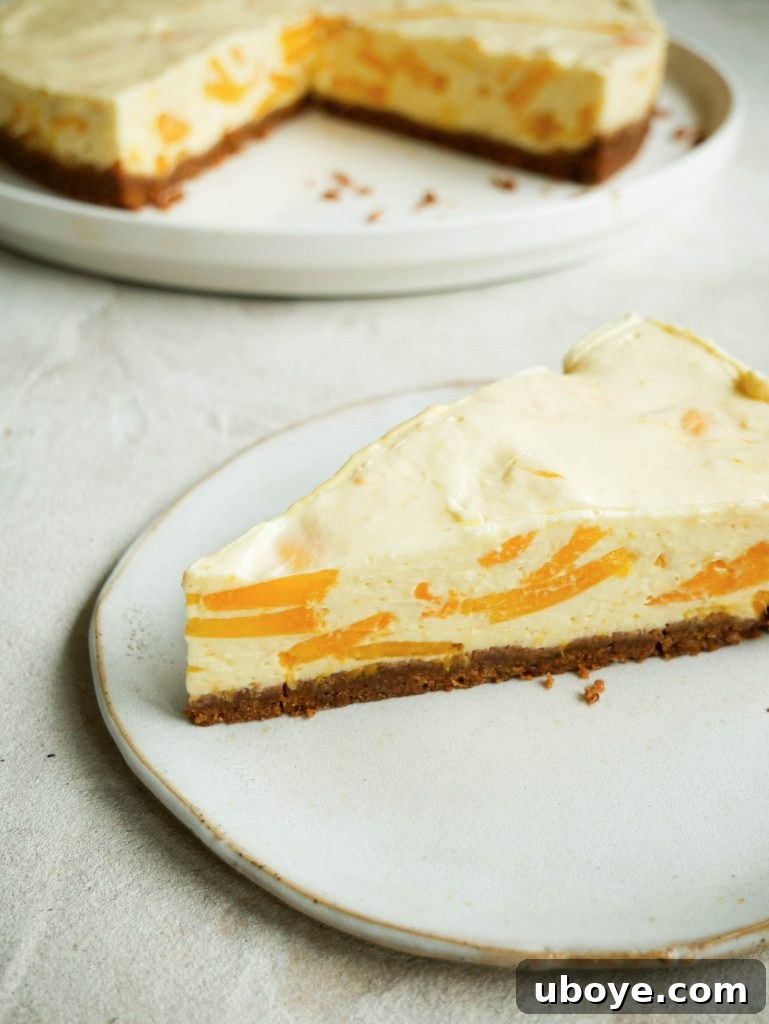 Chilled Tropical Mango Cheesecake 3 no bake mango cheesecake