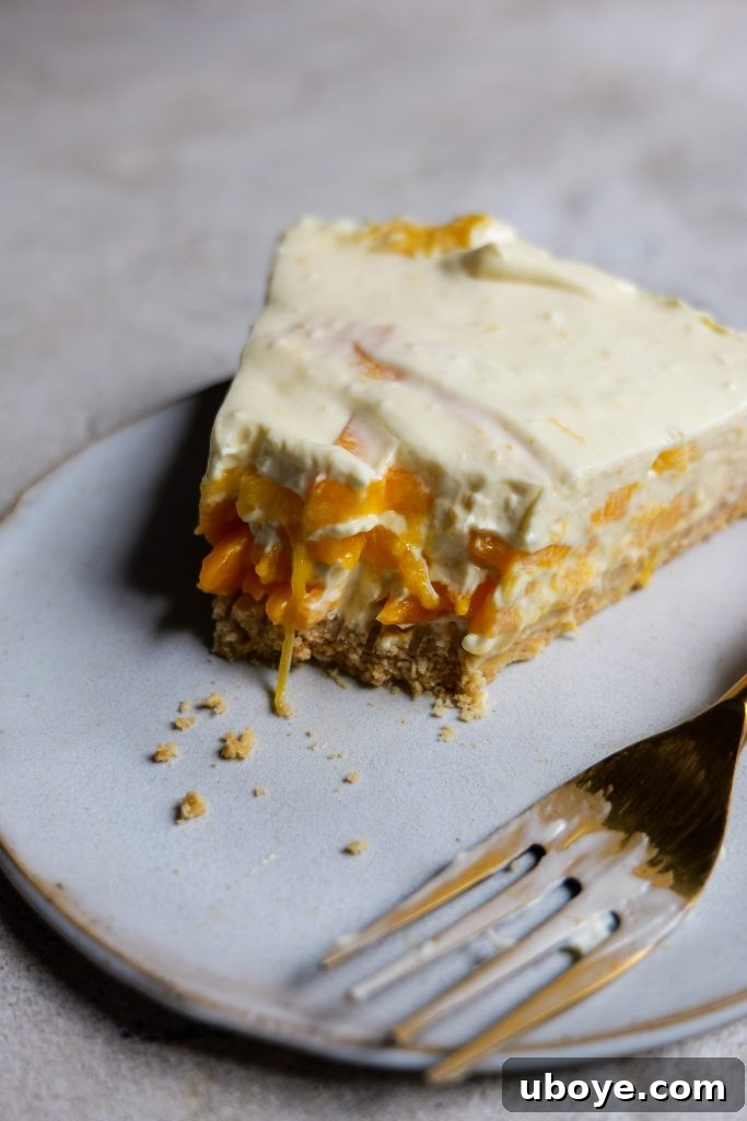 Chilled Tropical Mango Cheesecake 4 no bake mango cheesecake