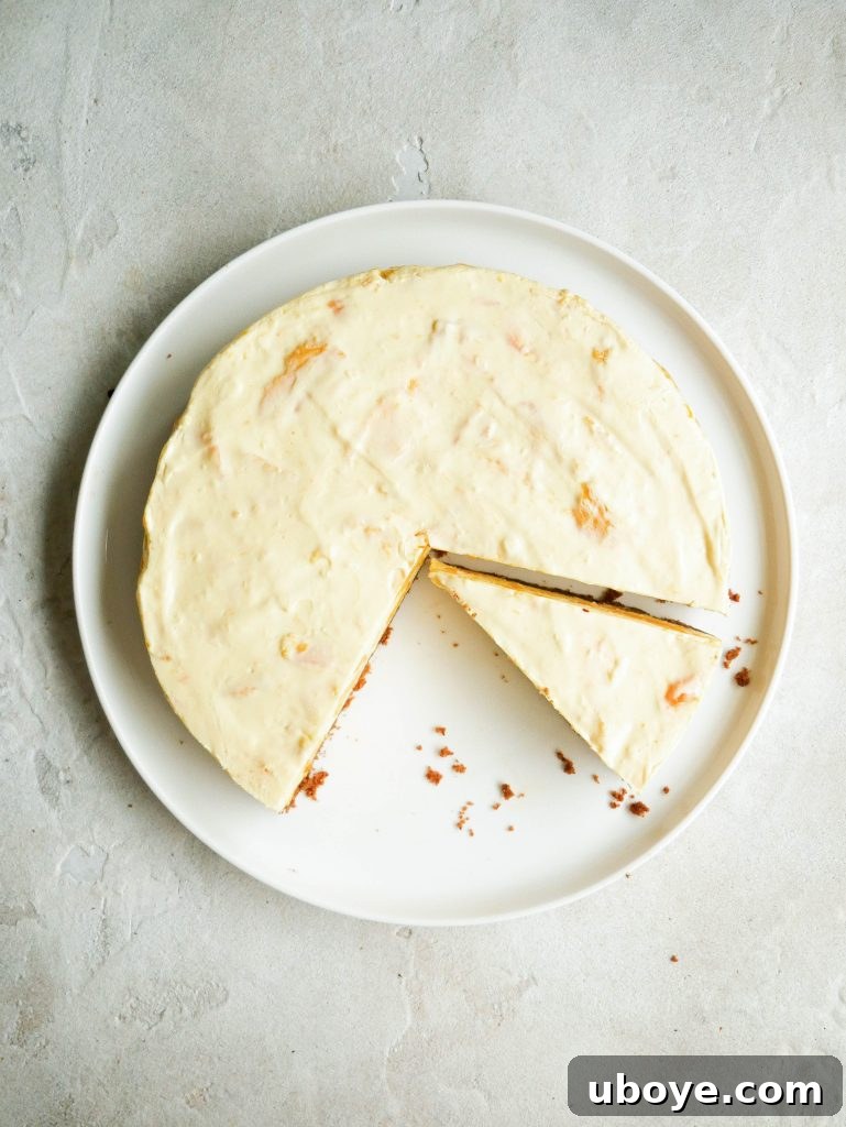Chilled Tropical Mango Cheesecake 5 no bake mango cheesecake