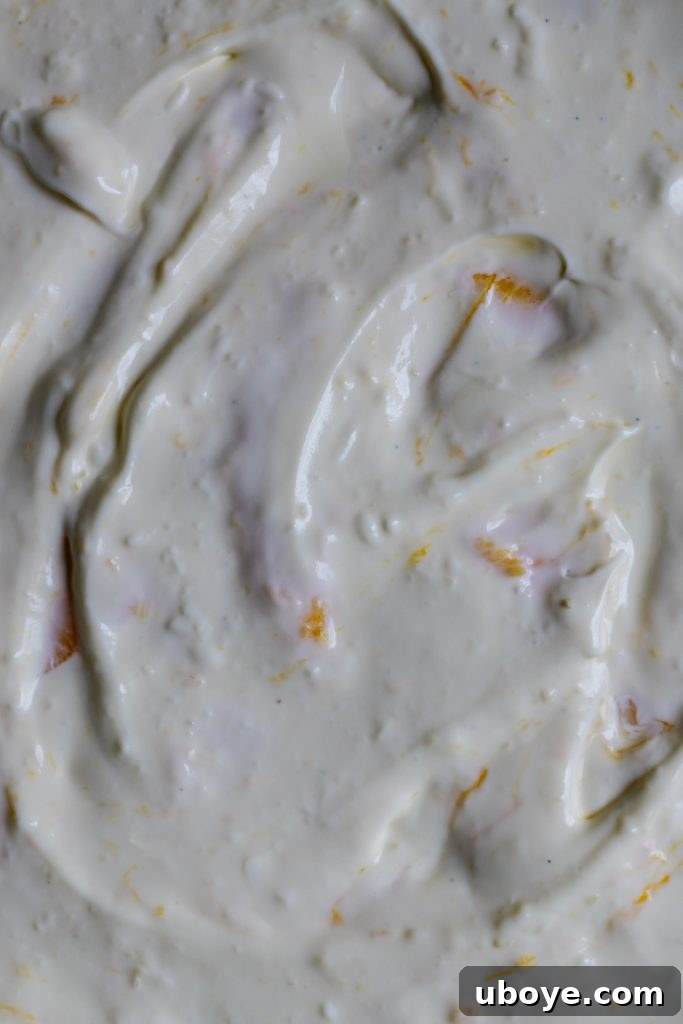 Chilled Tropical Mango Cheesecake 6 no bake mango cheesecake