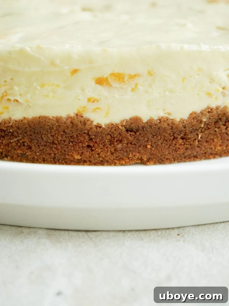 Chilled Tropical Mango Cheesecake 7 no bake mango cheesecake