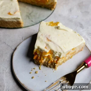 Chilled Tropical Mango Cheesecake 9 No Bake Mango Cheesecake