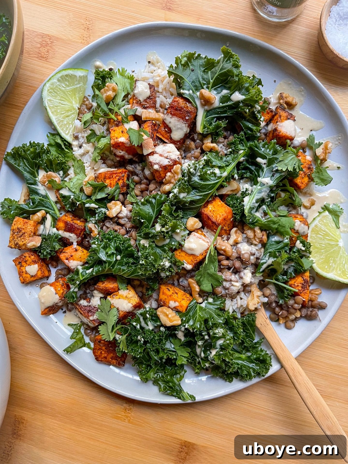 Flavor in a Flash 3 Hearty vegan protein rice and lentil nourish bowl, generously drizzled with creamy One-Minute Sauce.