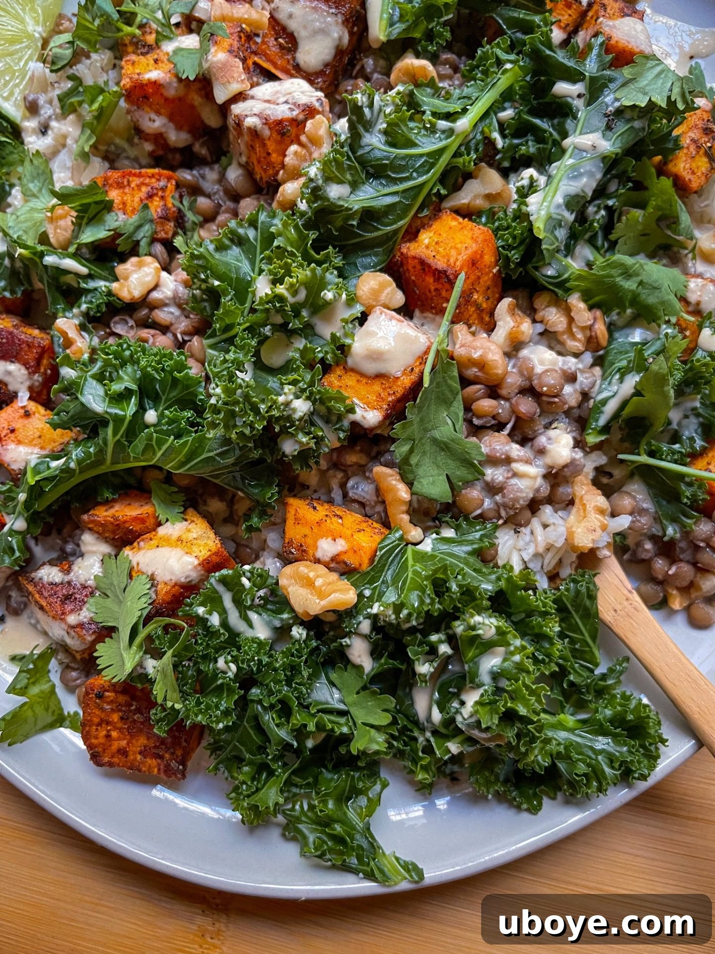 High protein vegan rice and lentil nourish bowl recipe with creamy cashew butter sauce and fresh garnishes