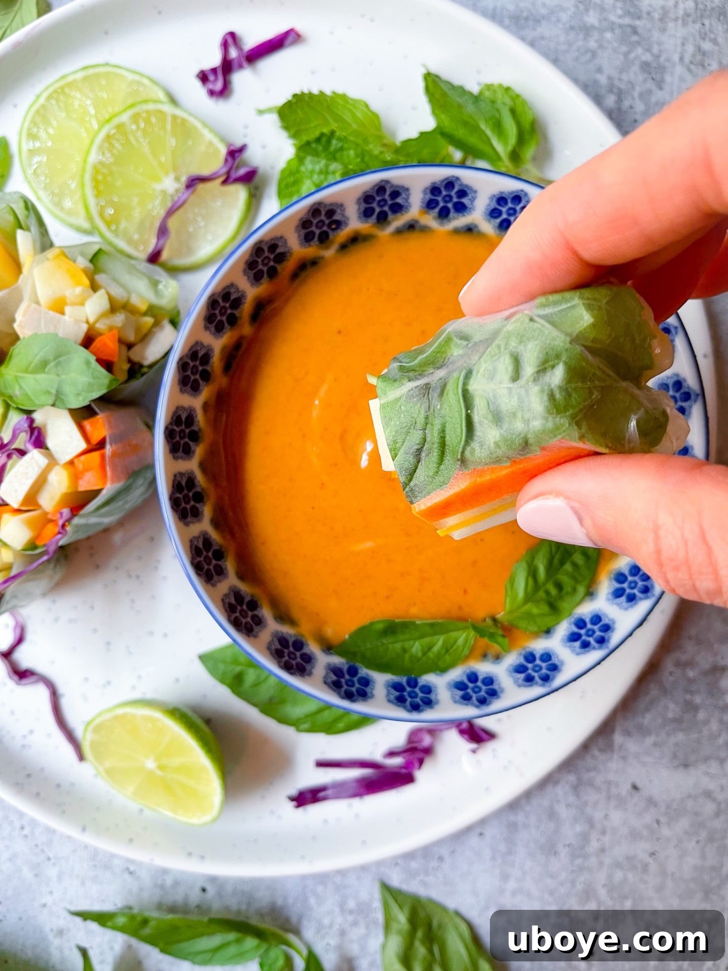 vegan summer rolls with peanut sauce