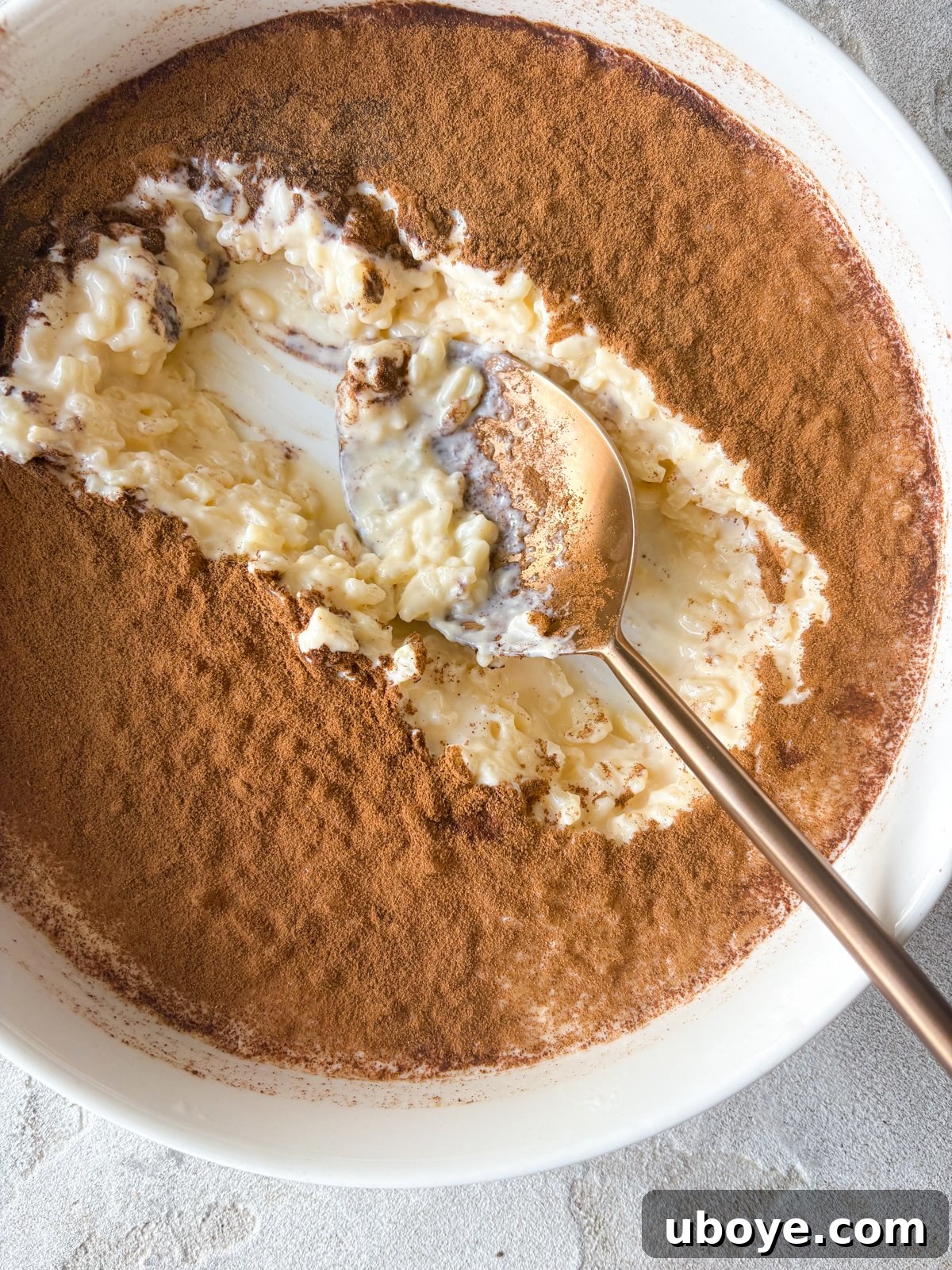 Abuelo's Arroz con Leche Spanish Rice Pudding 2 A large white bowl brimming with creamy Arroz con Leche (Spanish rice pudding), featuring a generous scoop removed from the center. A gold spoon rests beside it, and the pudding is elegantly dusted with cinnamon.