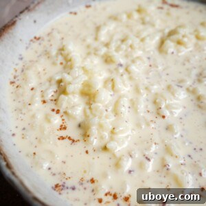 Arroz con Leche (Abuelo's Spanish rice pudding) - Recipe Image