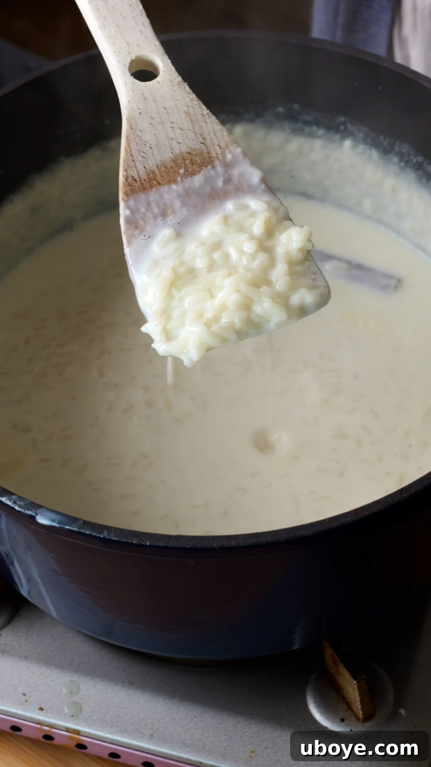Abuelo's Arroz con Leche Spanish Rice Pudding 4 Full cream milk and Arborio rice gently simmering in a large blue pot, preparing to become creamy Spanish rice pudding.