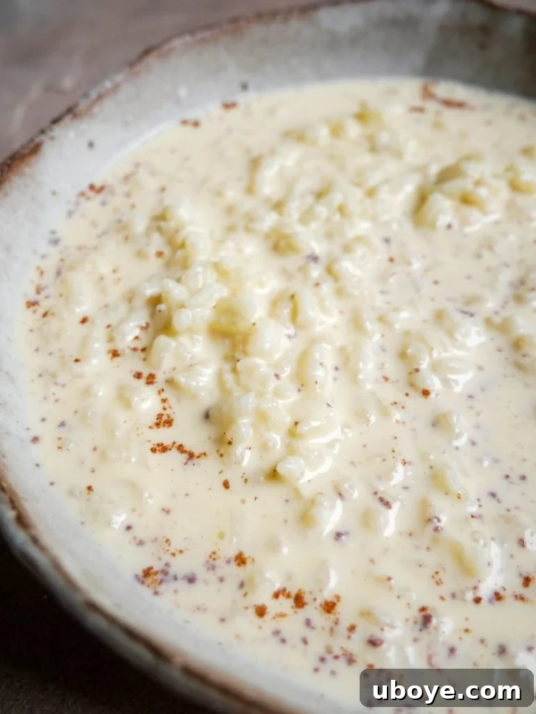 Abuelo's Arroz con Leche Spanish Rice Pudding 8 A close-up image showcasing the rich, creamy texture of Arroz con Leche (Spanish rice pudding) in a white bowl, delicately dusted with cinnamon.