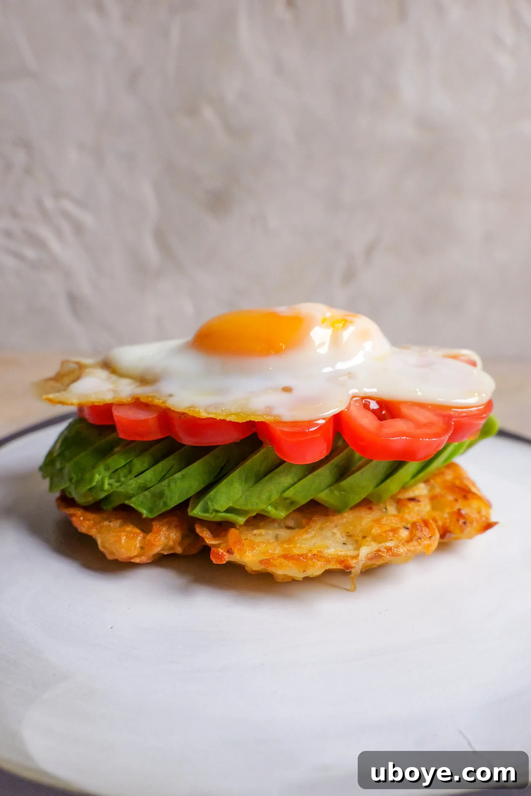 Golden Crispy Potato Rosti 12 A potato rosti on a white plate, elegantly topped with sliced avocado, fresh tomato, and a fried egg.