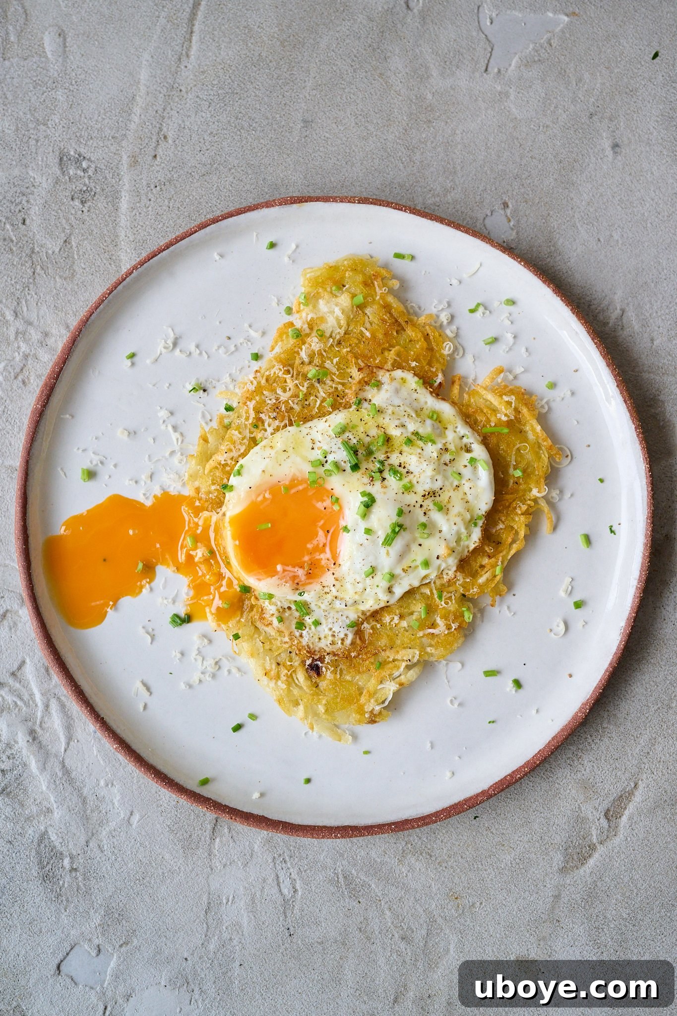 Golden Crispy Potato Rosti 13 A beautifully presented potato rosti on a white plate with a brown rim, topped with a fried egg whose yolk is oozing, garnished with finely chopped chives and grated Parmesan cheese.