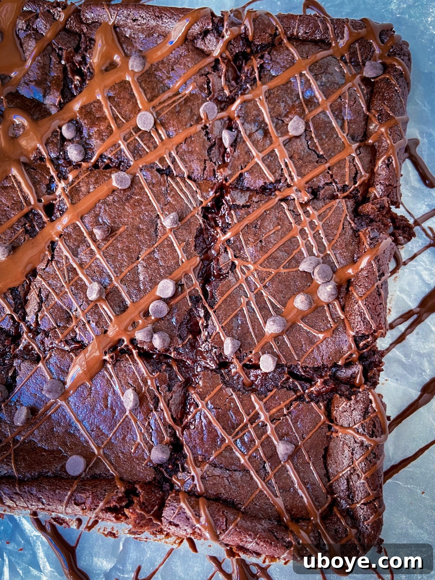 Delicious nut-free eggless tahini brownies topped with melted chocolate chips