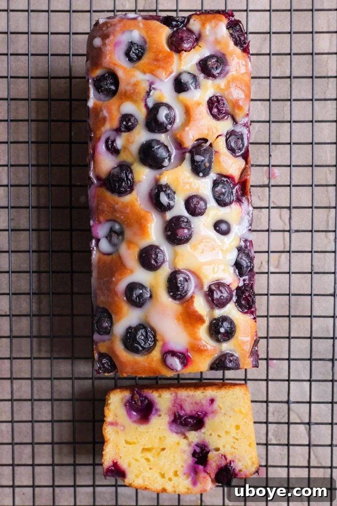 Deliciously moist blueberry and Greek yoghurt loaf cake, perfectly baked and ready to serve.