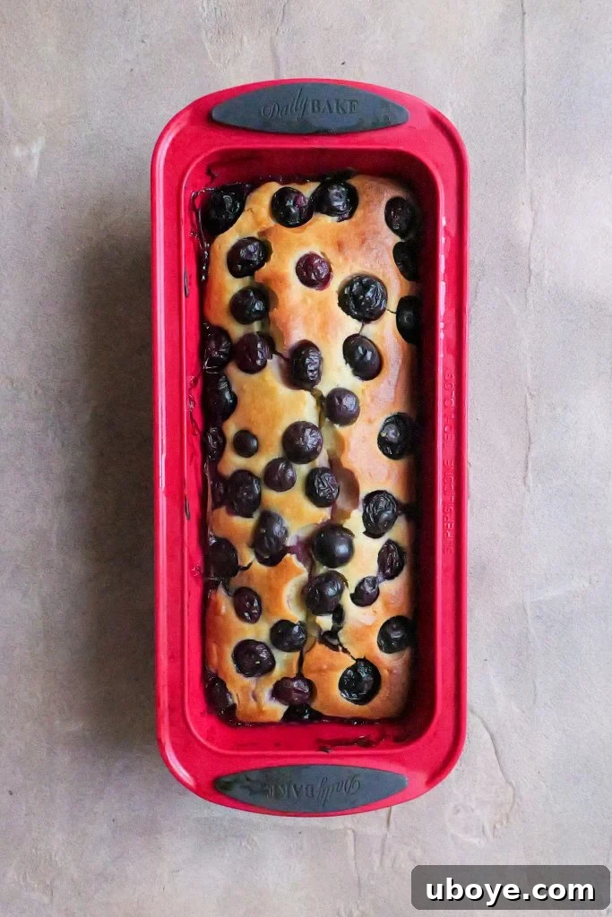 Close-up of a slice of blueberry and Greek yoghurt cake, revealing its moist crumb and scattered blueberries.