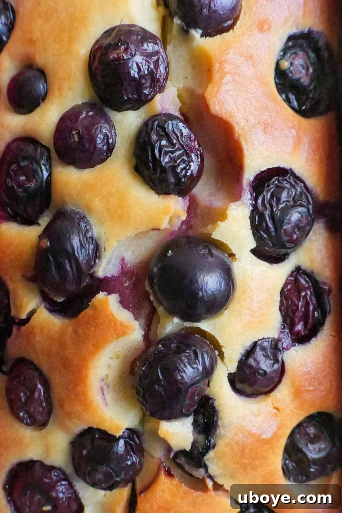Beautifully plated slice of blueberry and yoghurt loaf cake with a lemon drizzle.