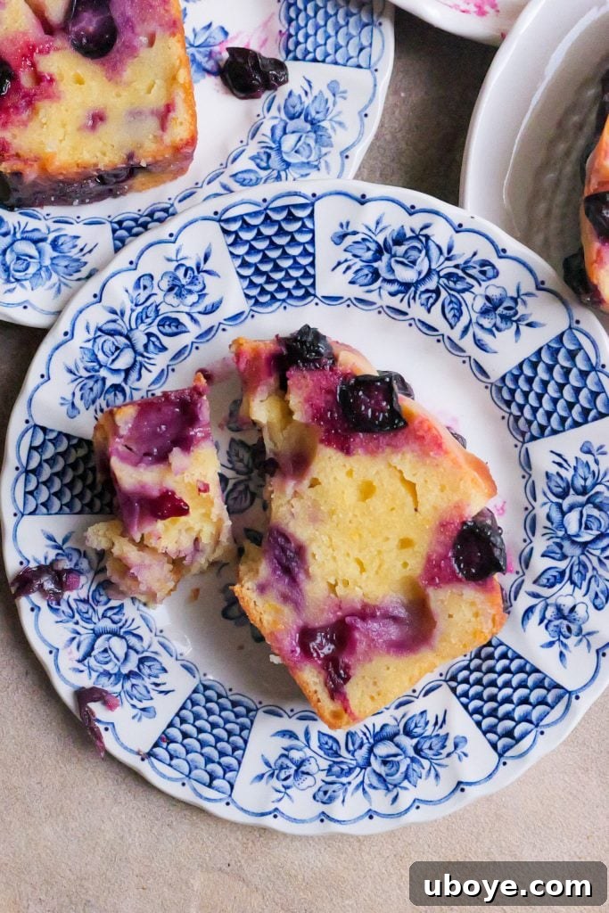 Ingredients for blueberry and yoghurt cake laid out on a kitchen counter.