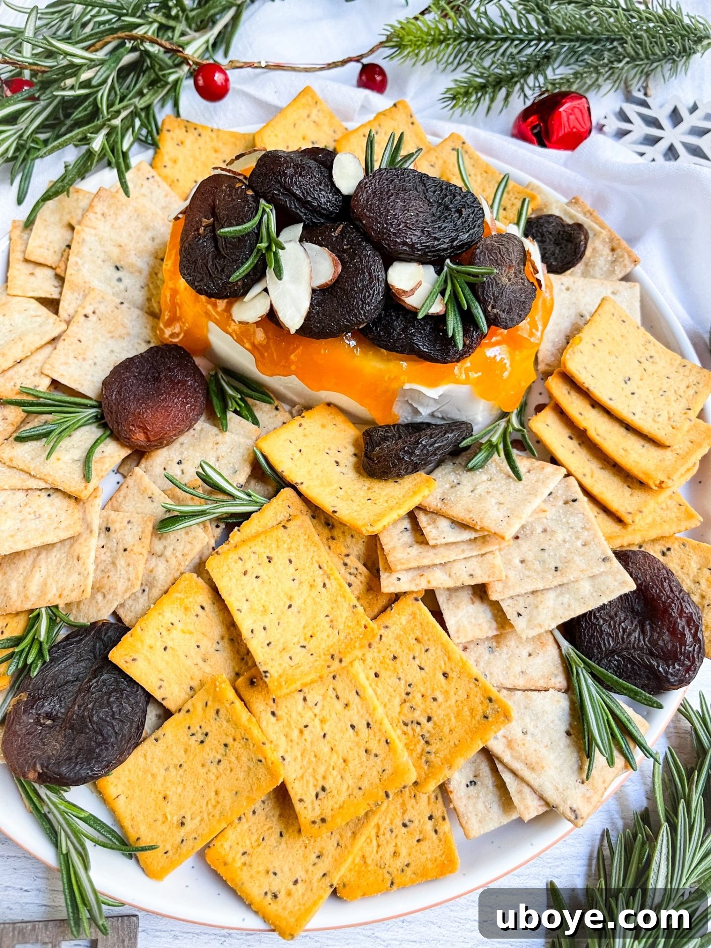 Close-up of vegan holiday appetizer recipe with cream cheese, apricot jam, and fresh rosemary