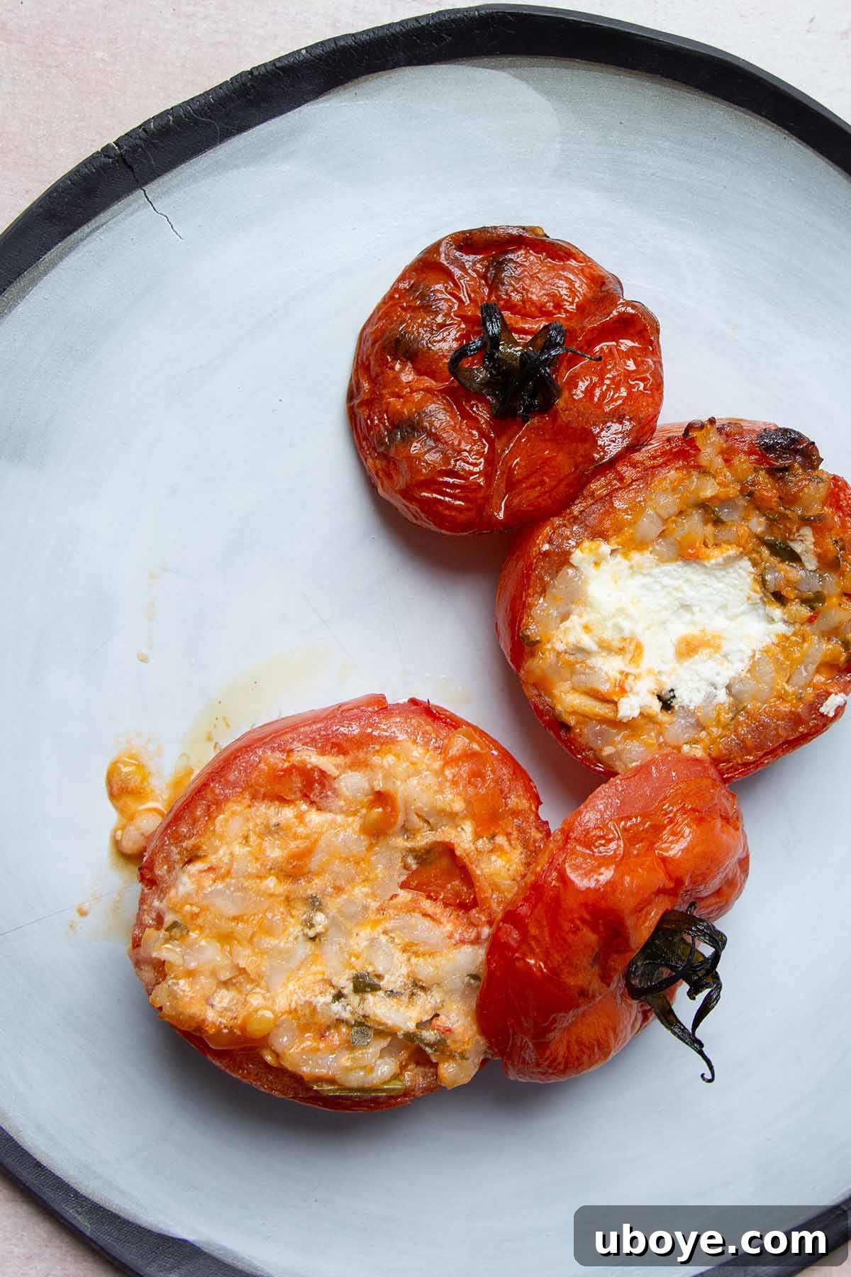 Mediterranean Tomato Treasures 2 Two vibrant Mediterranean stuffed tomatoes, baked to perfection and garnished with fresh herbs, resting on a white plate.