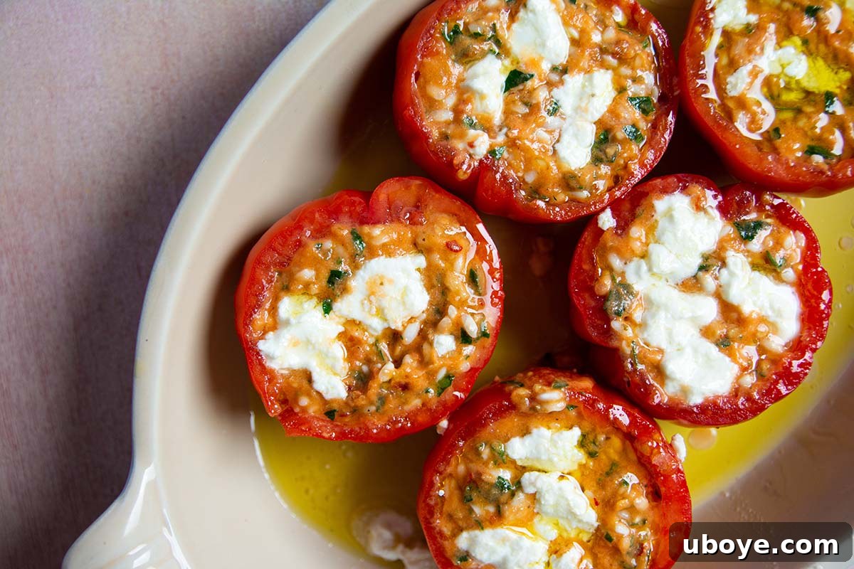 Mediterranean Tomato Treasures 8 A close-up of baked Mediterranean stuffed tomatoes, artfully arranged and garnished with fresh herbs, showcasing their golden-brown tops and rich filling.