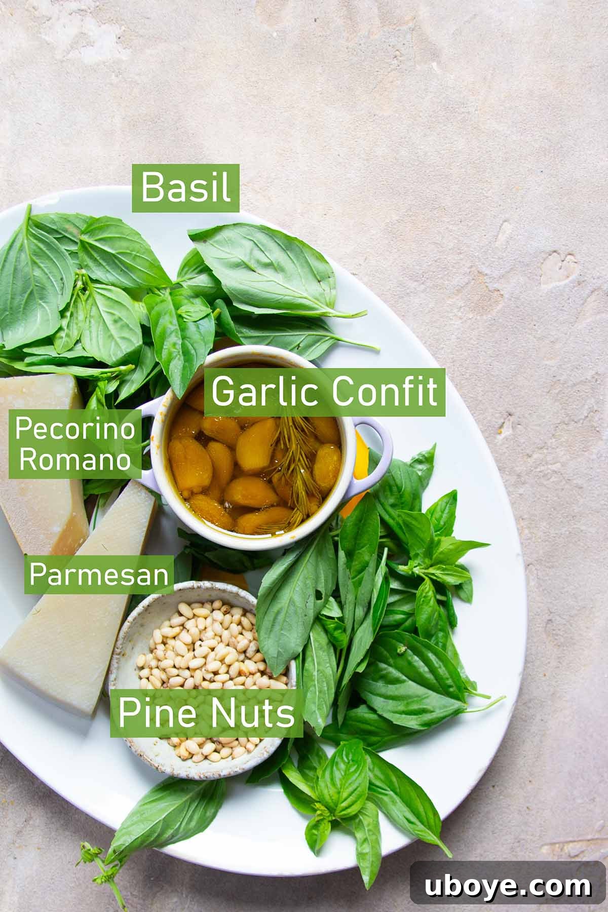 Velvet Garlic Pesto Pasta 3 A vibrant display of fresh ingredients for garlic confit pesto pasta, including basil, olive oil, garlic, and pasta.