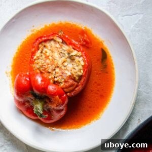 A single stuffed bell pepper served on a white plate with sauce.