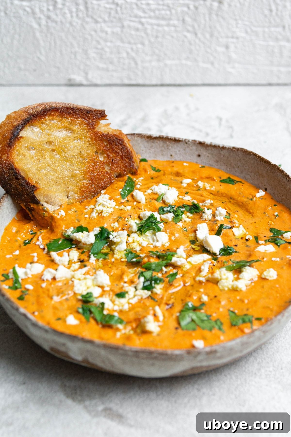 Fiery Feta and Red Pepper Dip 10 A beautifully presented large bowl of red pepper and feta dip, garnished with crumbled feta, fresh parsley, and olive oil, with a piece of crispy fried sourdough bread peeking out.