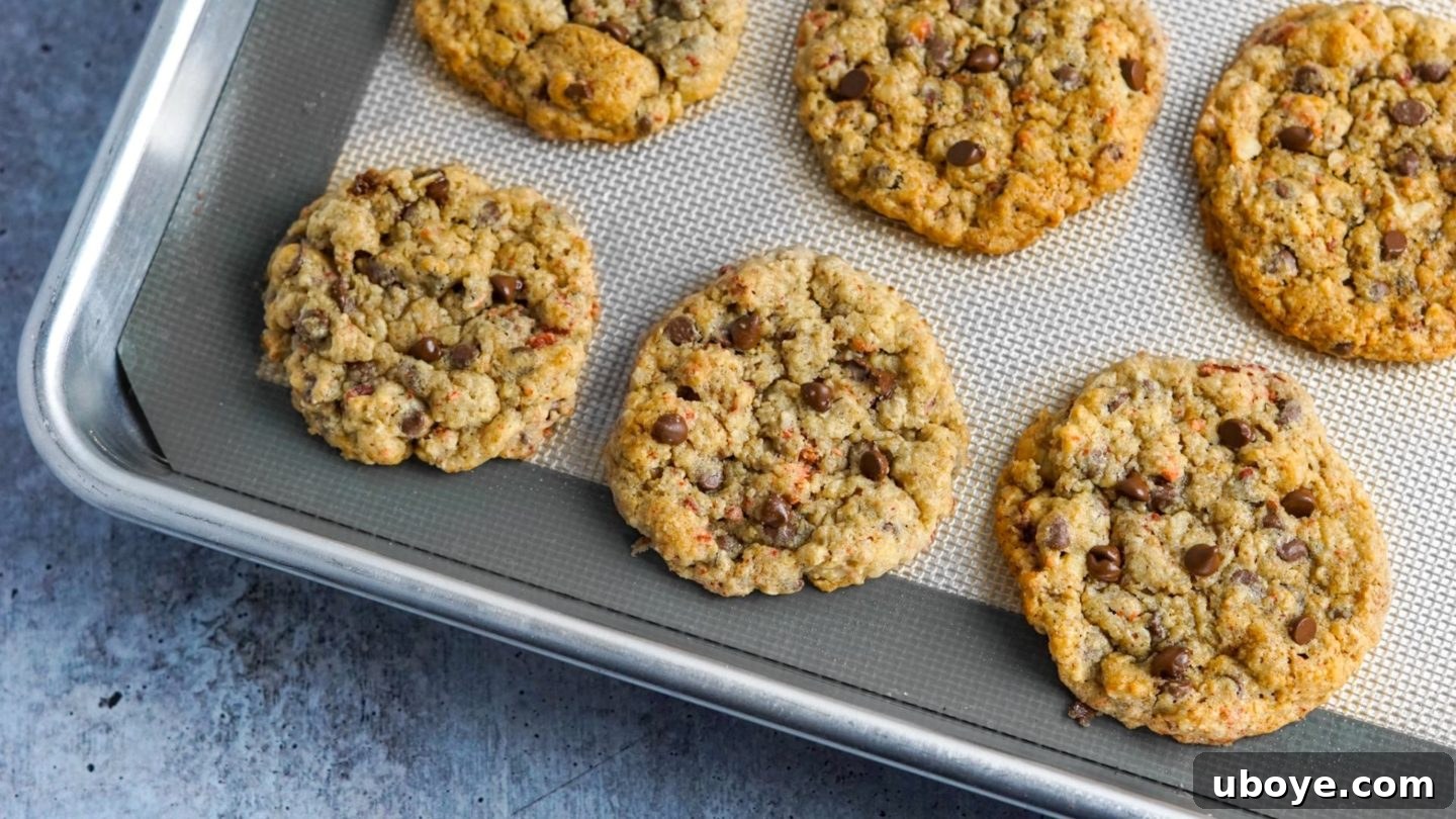 Chocoberry Chip Cookies 3 A batch of freshly baked vegan strawberry chocolate chip cookies resting on a baking sheet, showcasing their golden-brown edges.