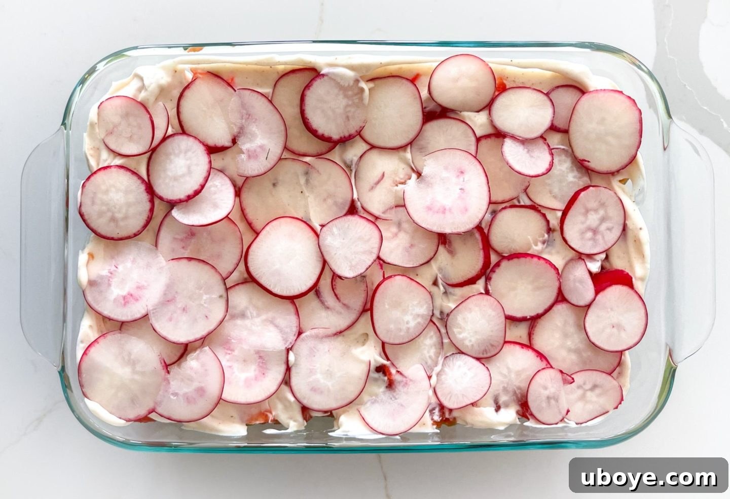 Epic Vegan 7 Layer Dip 13 Thinly sliced radishes scattered as the sixth layer on top of the vegan sour cream.