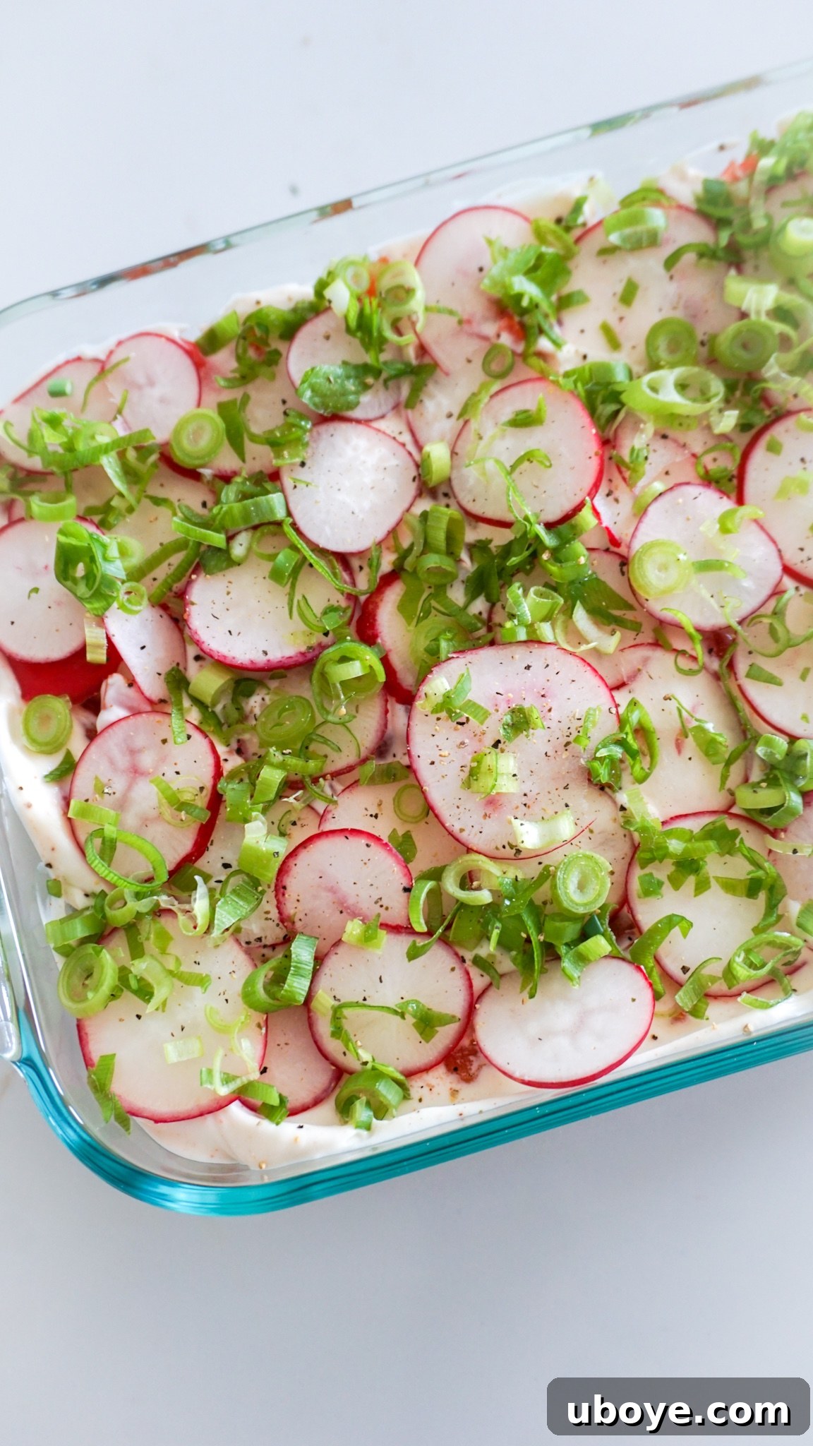Epic Vegan 7 Layer Dip 14 A beautifully assembled vegan seven layer dip, topped with radishes and scallions, in a glass dish, served with a bowl of tortilla chips.
