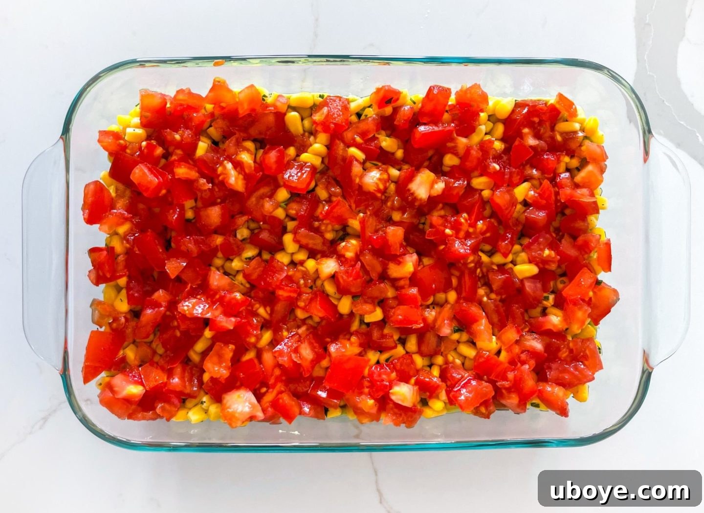 Epic Vegan 7 Layer Dip 10 Diced, de-seeded tomatoes spread as the fourth layer in the vegan 7 layer dip.