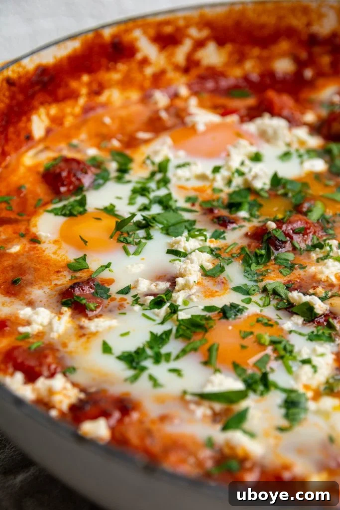 Shirred Eggs 10 Plated baked eggs with crusty bread and fresh parsley