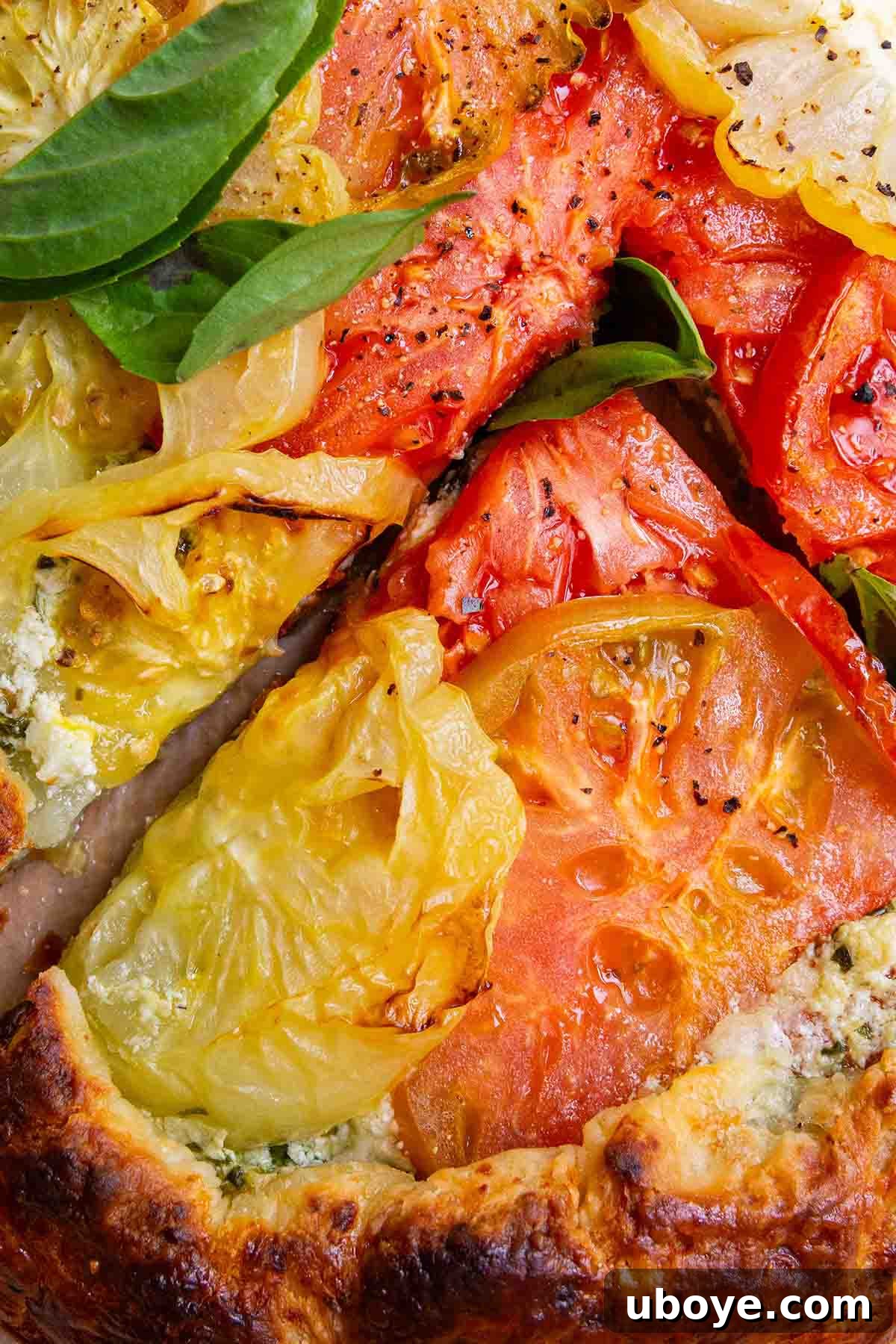 sliced summer tomato tart with fresh basil.