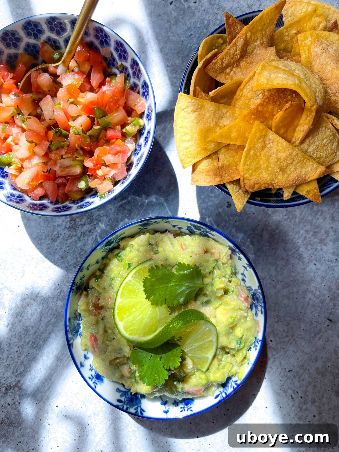 One Avocado Wonder 2 Three bowls of guacamole, salsa, and tortilla chips on a vibrant blue countertop, ready for a sunny day's enjoyment.