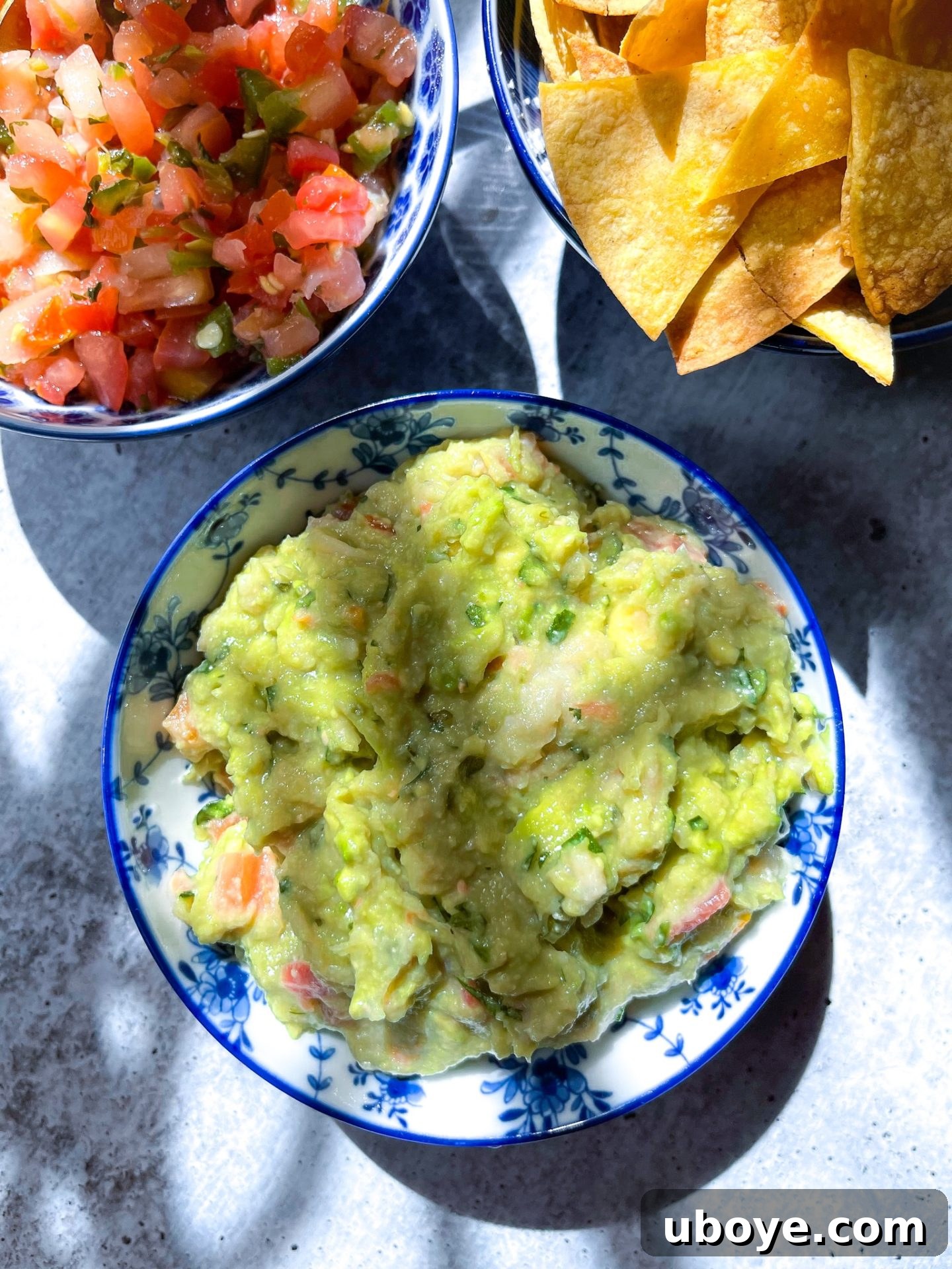 One Avocado Wonder 6 Three visually appealing blue bowls filled with guacamole, salsa, and crispy tortilla chips, creating an irresistible trio for snacking.