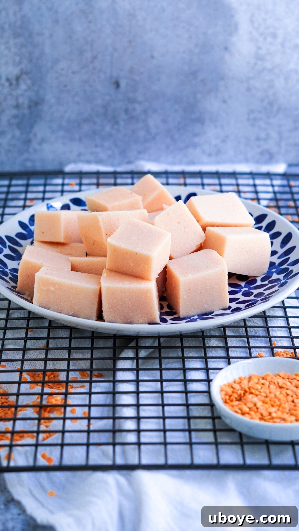 Crimson Lentil Blocks 2 A beautifully textured block of homemade red lentil tofu, ready to be sliced and enjoyed.