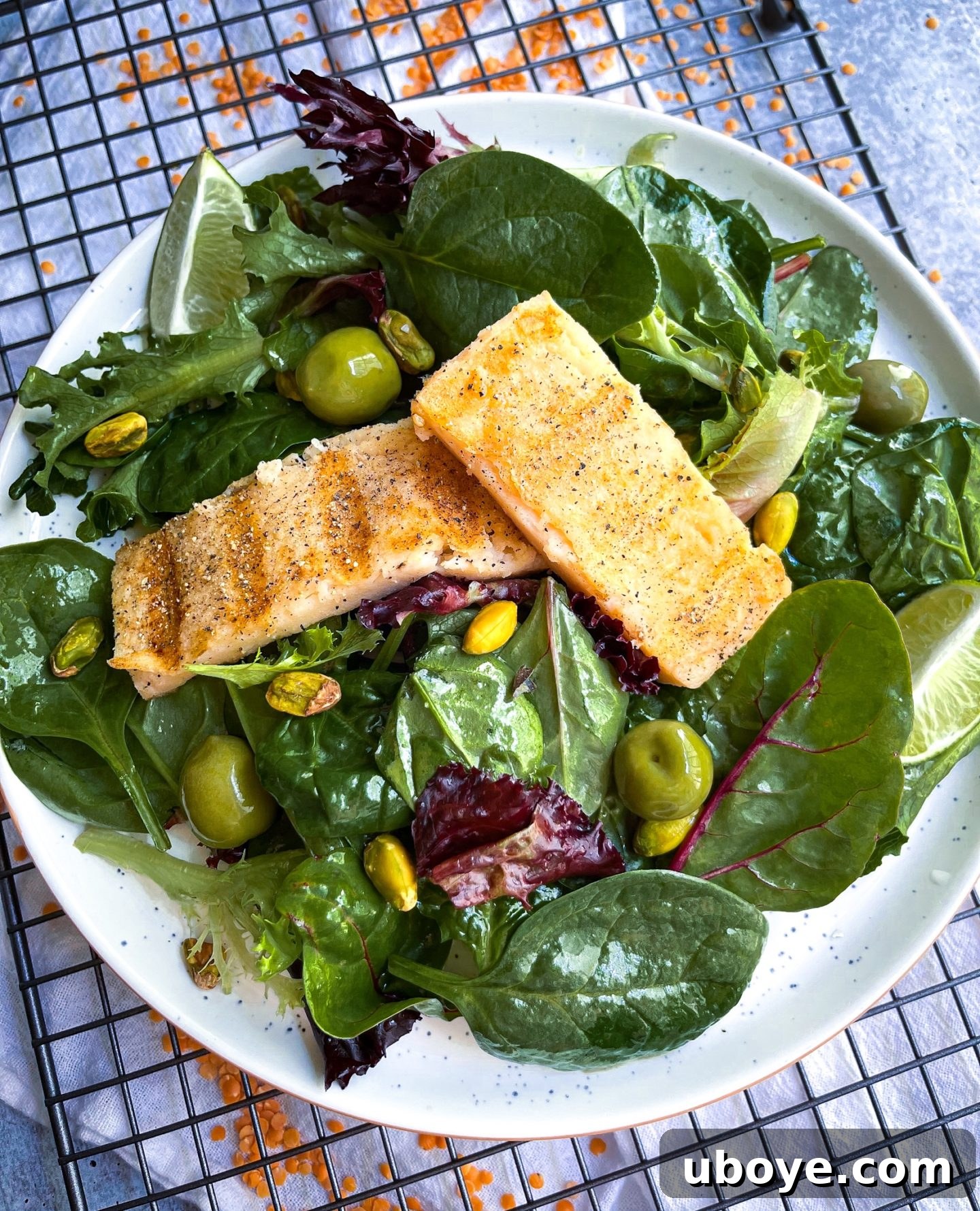 Crimson Lentil Blocks 8 Grilled red lentil tofu seasoned with lemon pepper, beautifully seared and ready to be served.