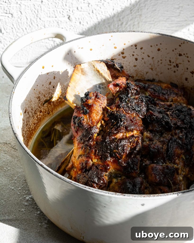 Slow roasted lamb souvlaki meat