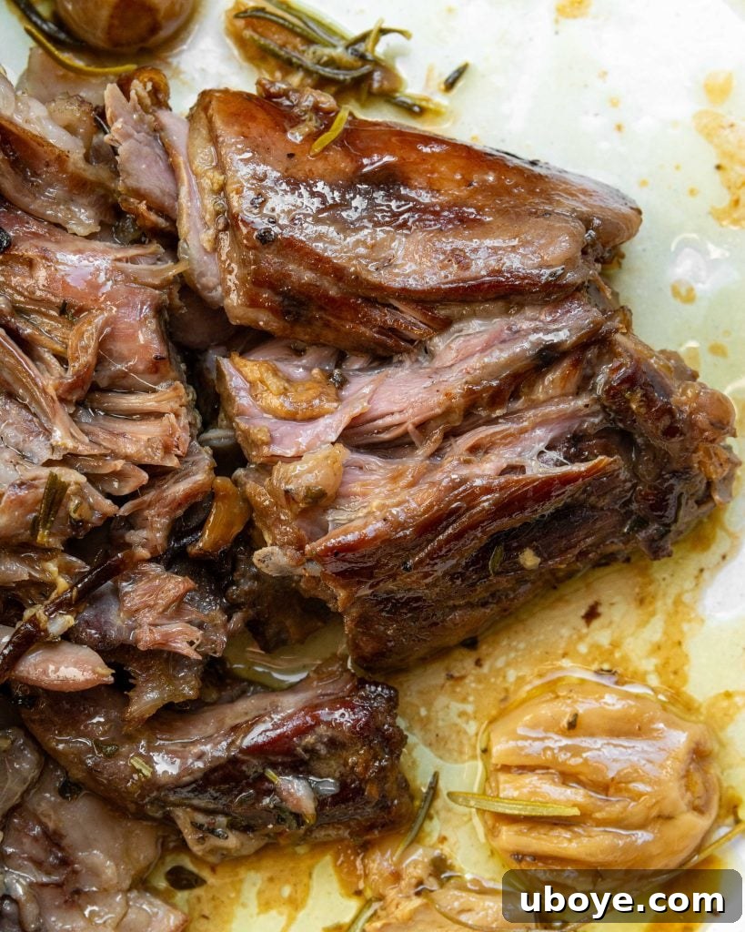 Garlicky slow lamb shoulder ready to be shredded