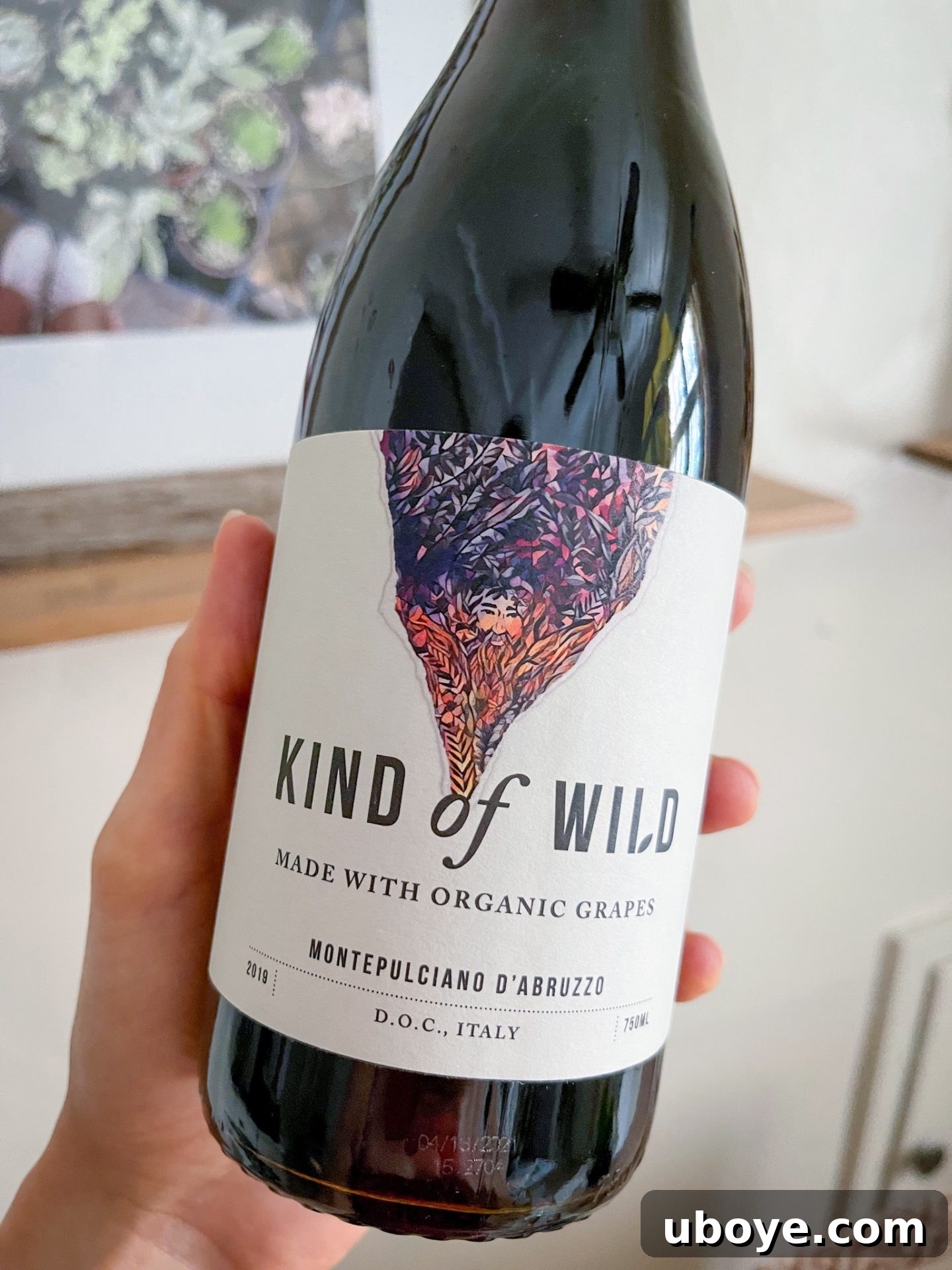 Pesto-Packed Tomato Delights 8 A bottle of Kind of Wild organic vegan red wine with a glass, suggesting a wine pairing.