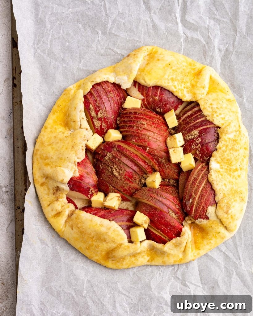 Close-up of baked apple cinnamon galette with cheesy pastry, showing flaky crust and fruit filling