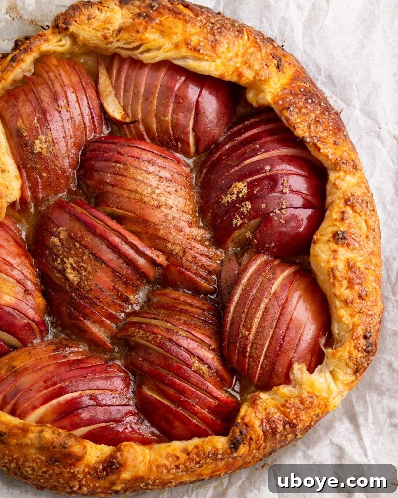 Unbaked apple cinnamon galette with cheesy pastry, ready for the oven