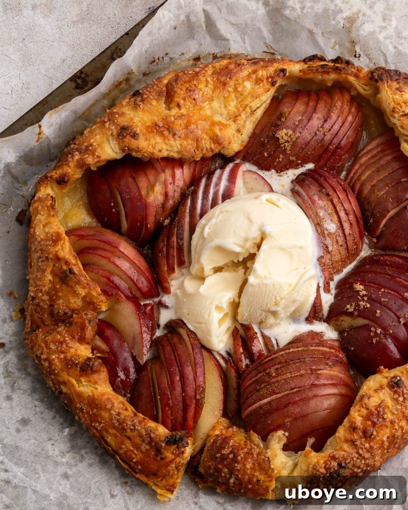 Close-up of fanned apple slices arranged on cheesy pastry for galette
