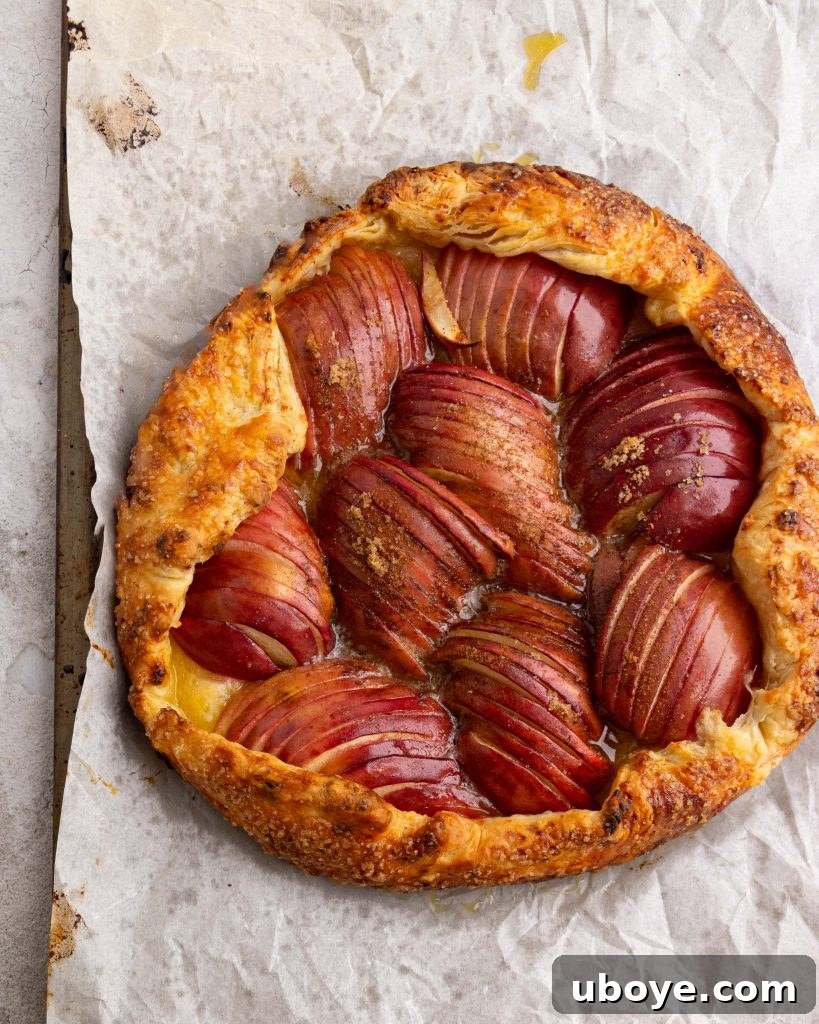 Close-up of a slice of apple galette with cheesy pastry, showing flaky crust and tender apple filling