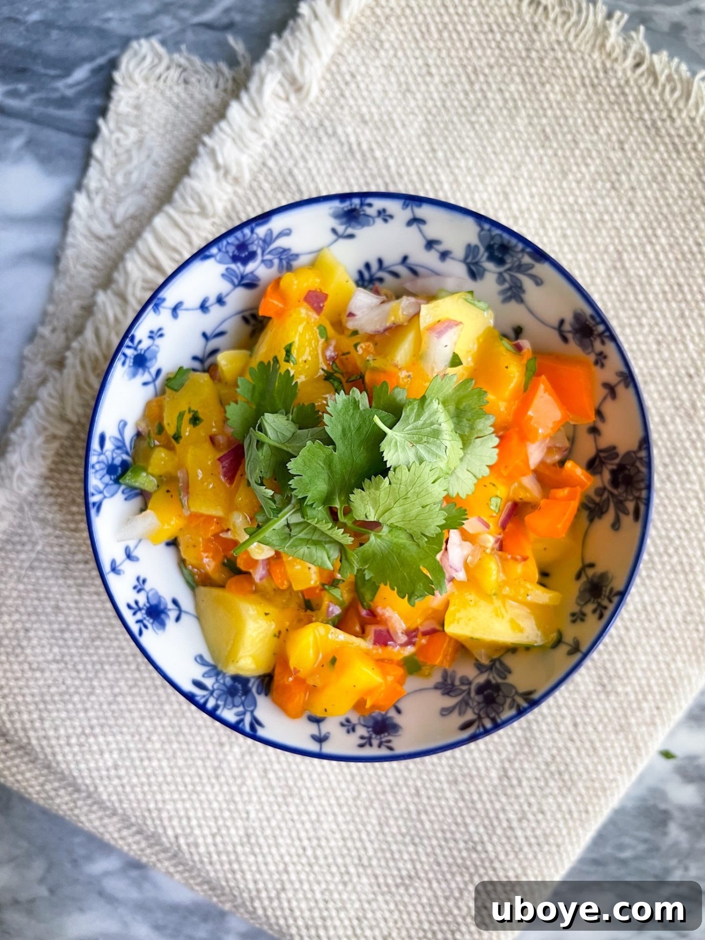 Close-up of vibrant homemade mango salsa in a white bowl