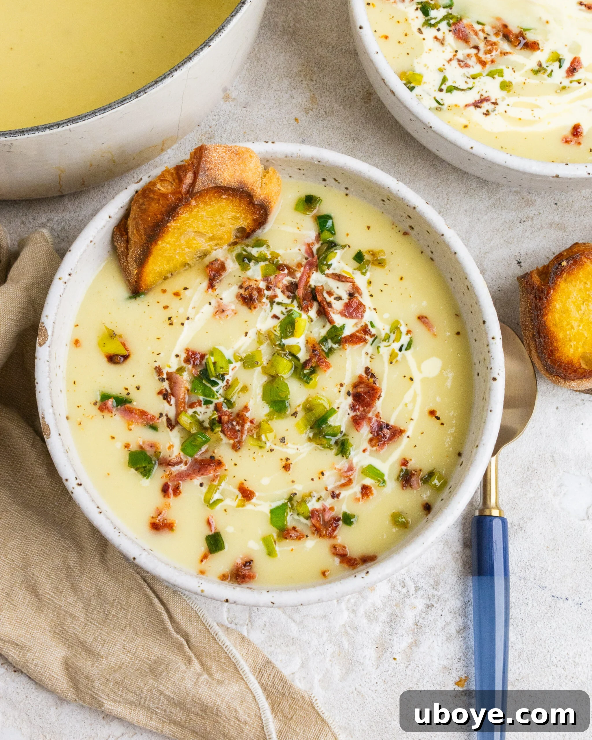 Silky Potato Leek Delight 2 A large white bowl of creamy potato and leek soup, garnished generously with golden crispy leek tops and savory bacon bits. A light drizzle of cream creates a beautiful swirl on top, and a blue spoon rests on the side, inviting you to take a spoonful. The overall presentation is warm and appetizing.