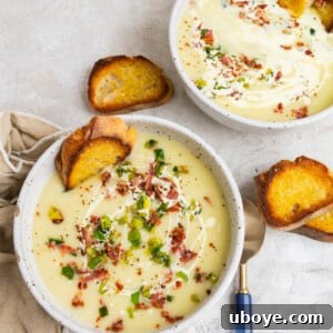 A bowl of creamy potato and leek soup garnished with crispy bacon and leek tops, ready to be enjoyed.